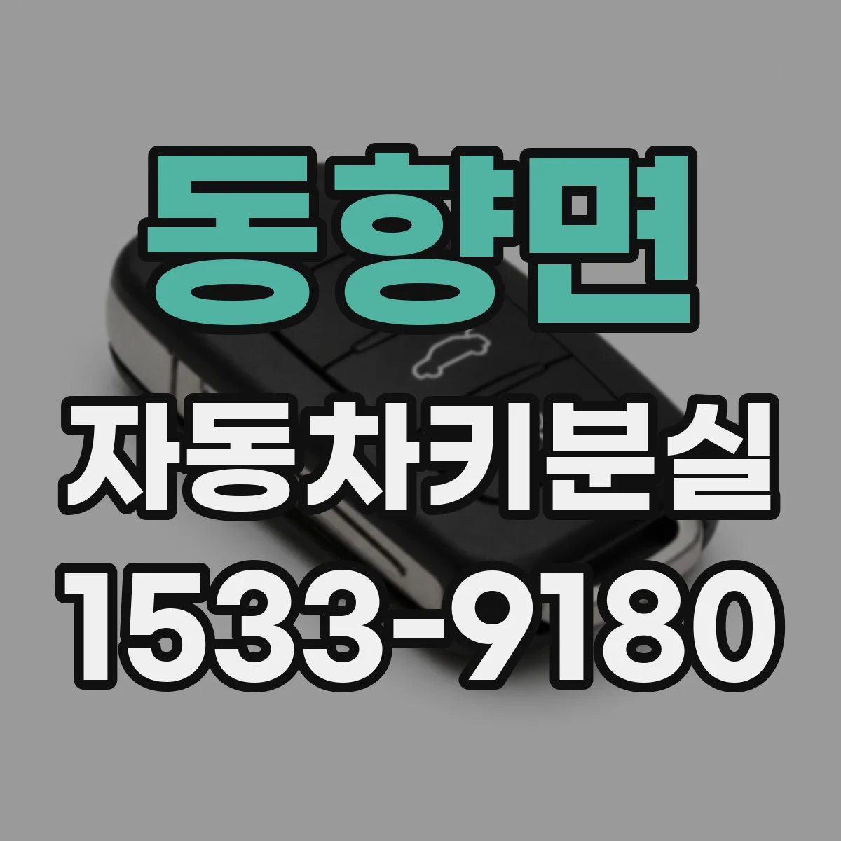 동향면 자동차키분실