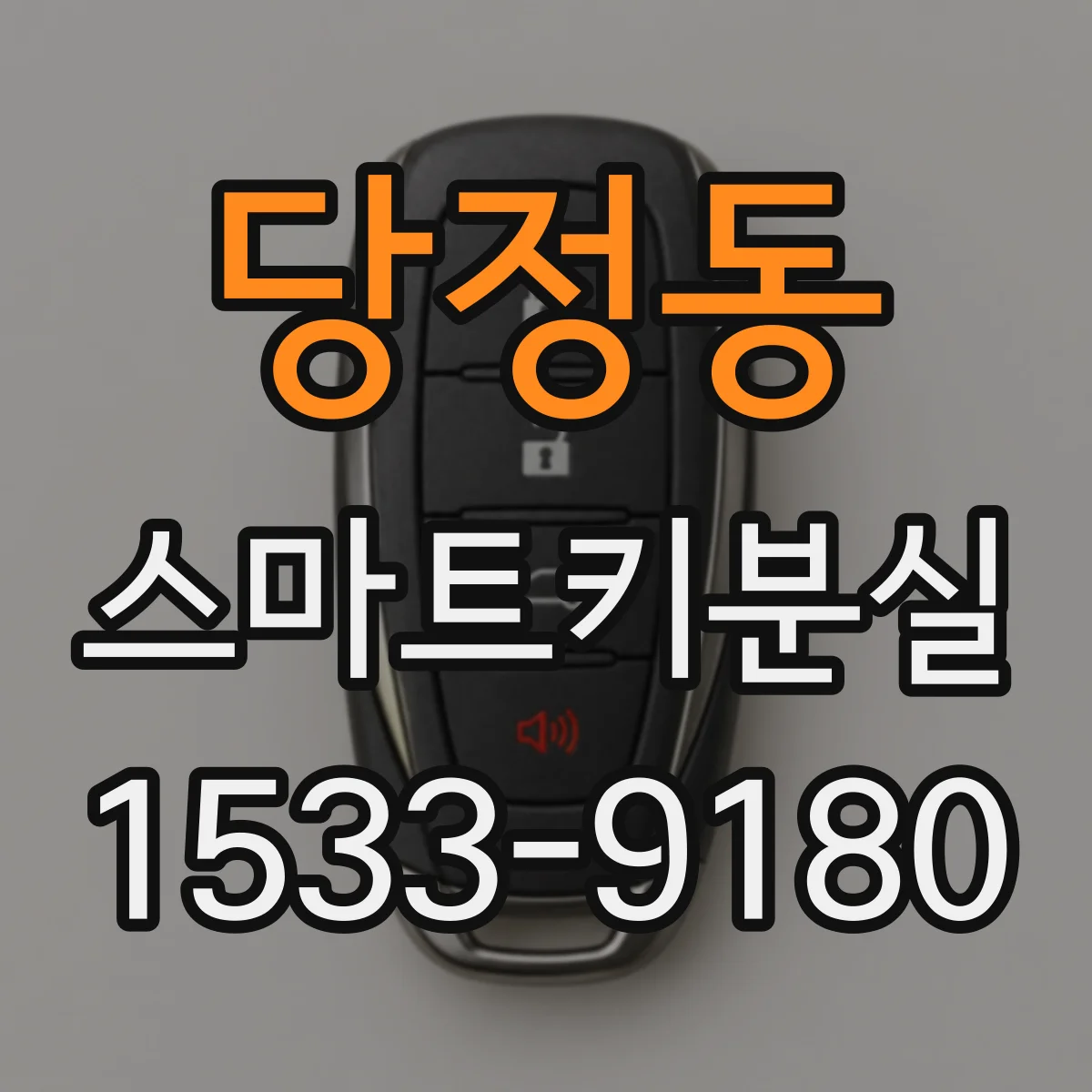 당정동 스마트키분실