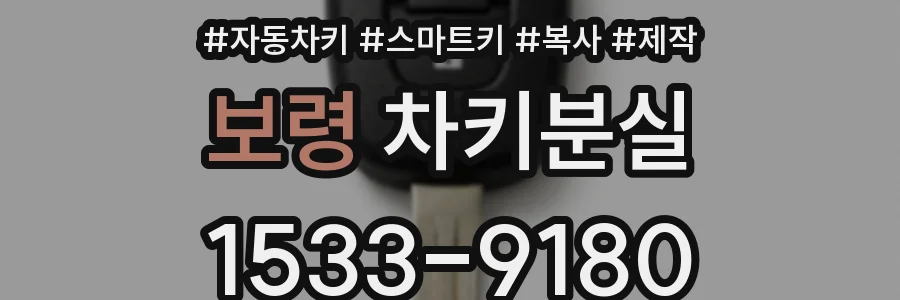보령 차키분실