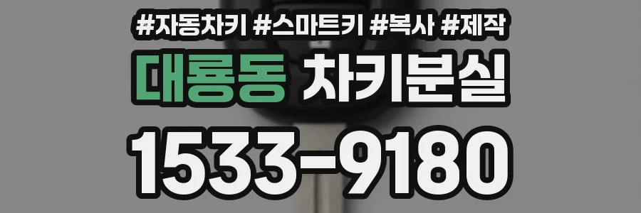 대룡동 차키분실