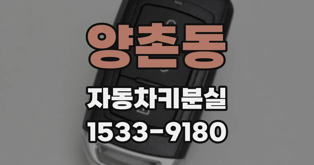 양촌동 자동차키분실