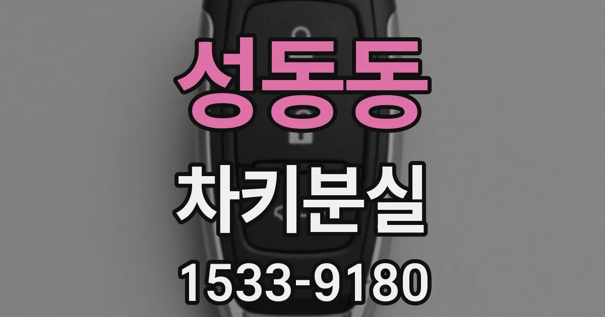 성동동 차키분실