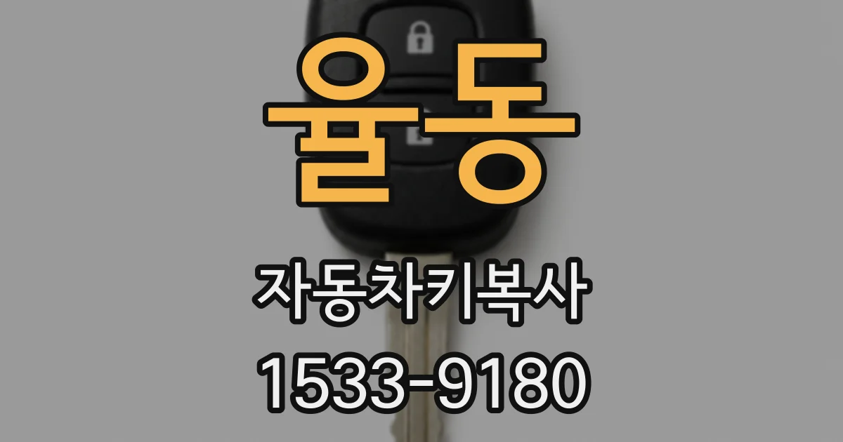 율동 자동차키복사