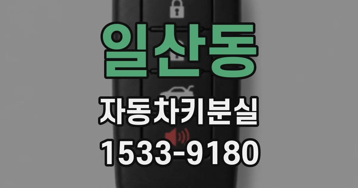 일산동 자동차키분실