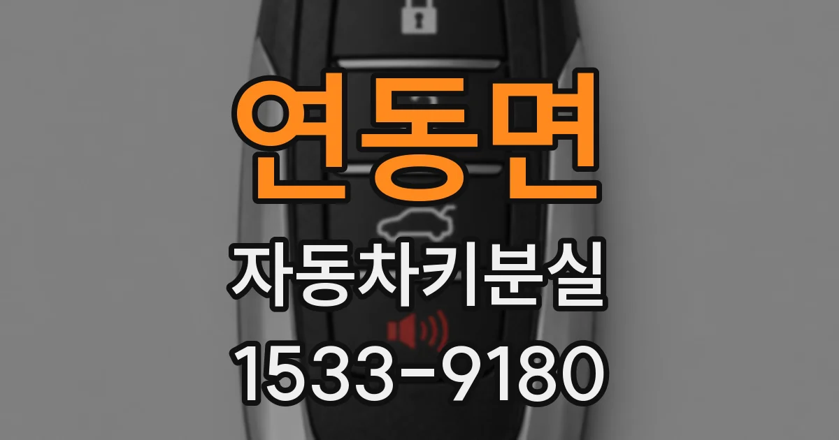 연동면 자동차키분실
