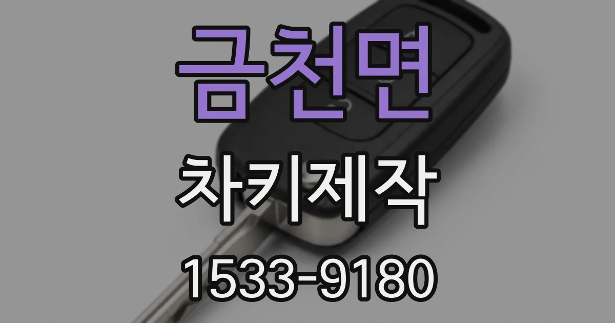 금천면 차키제작