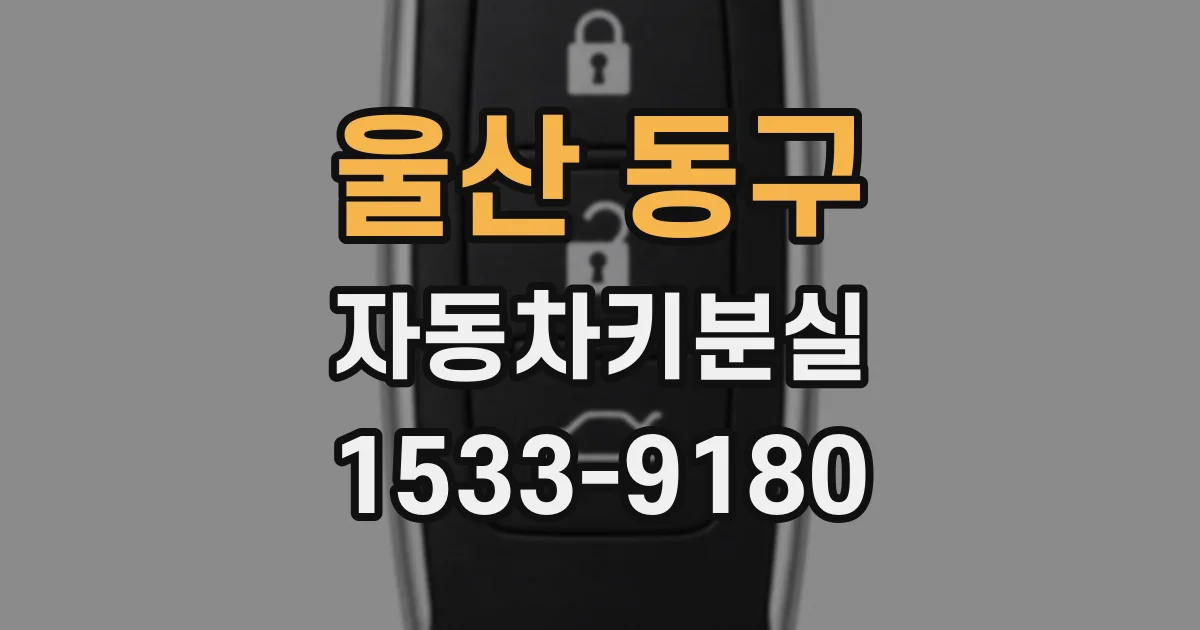 울산 동구 자동차키분실