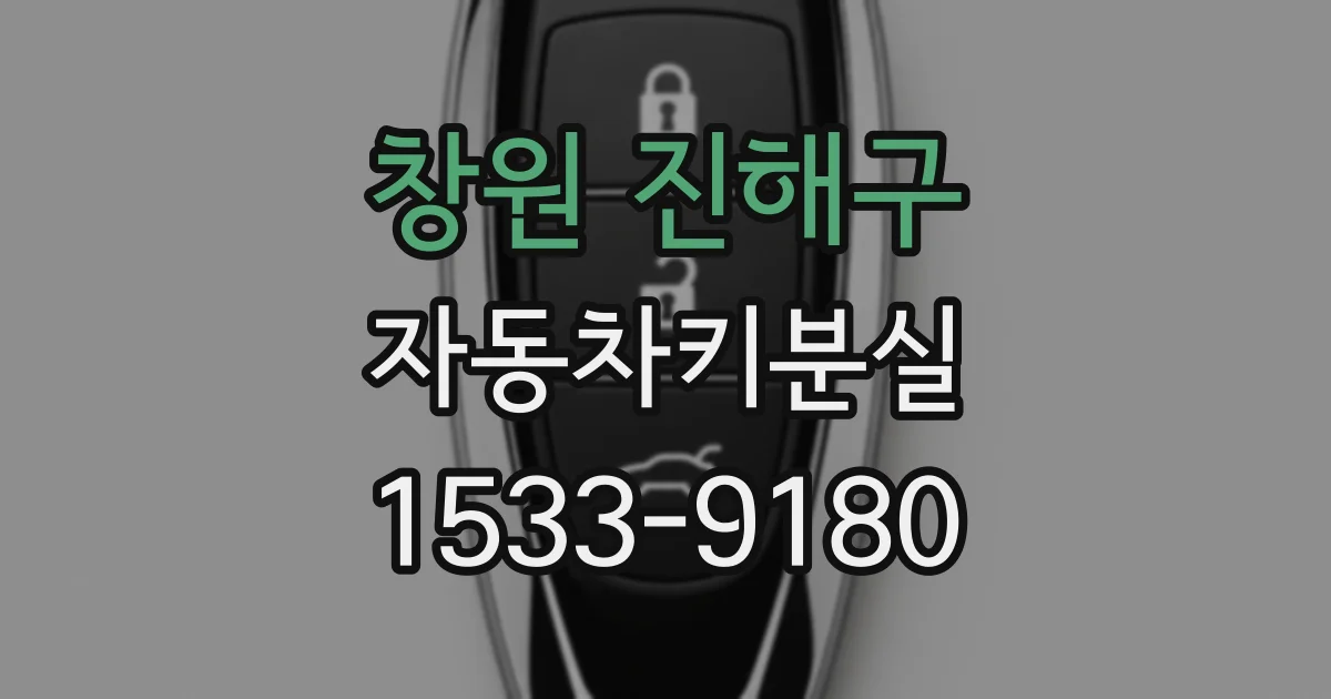 창원 진해구 자동차키분실