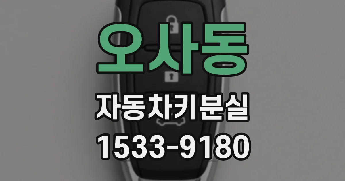 오사동 자동차키분실