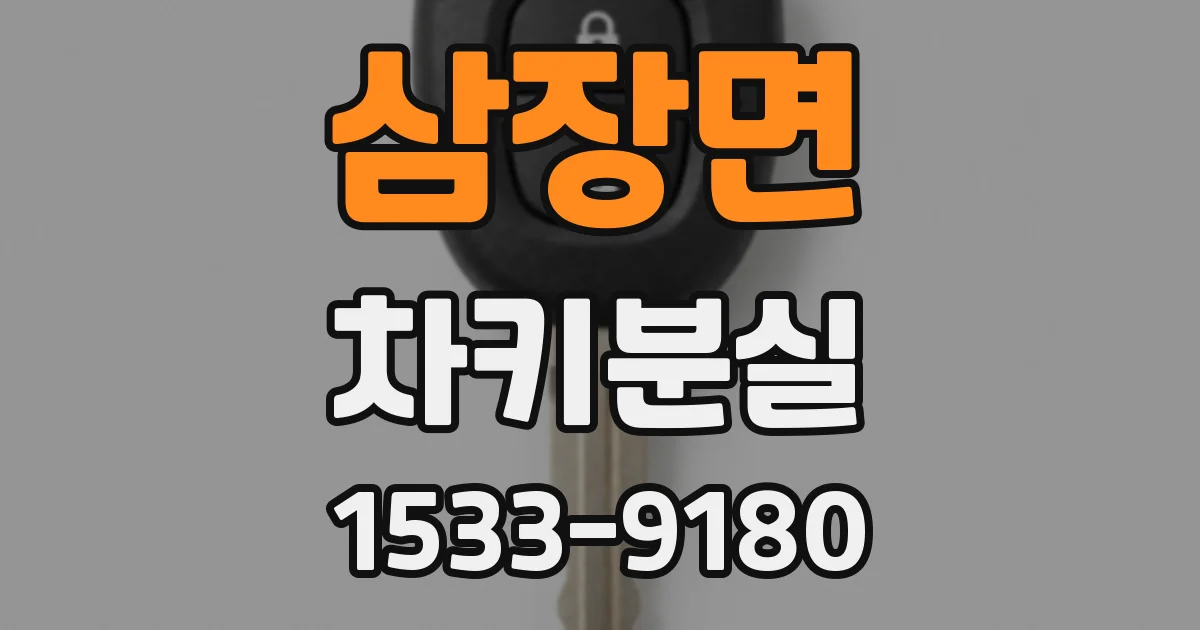 삼장면 차키분실