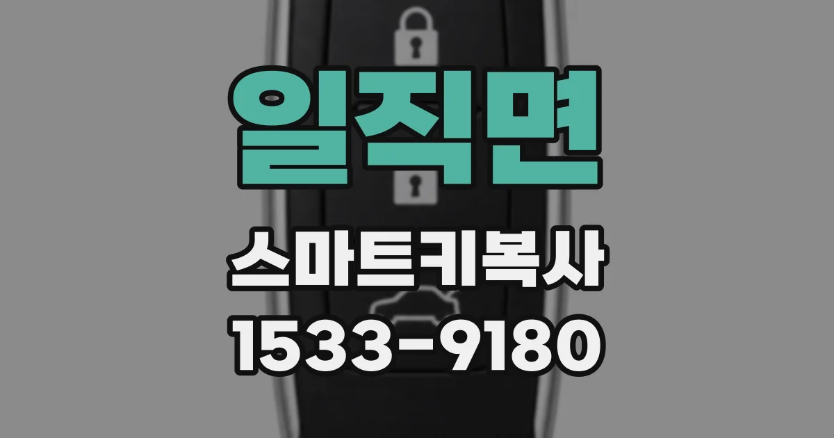 일직면 스마트키복사
