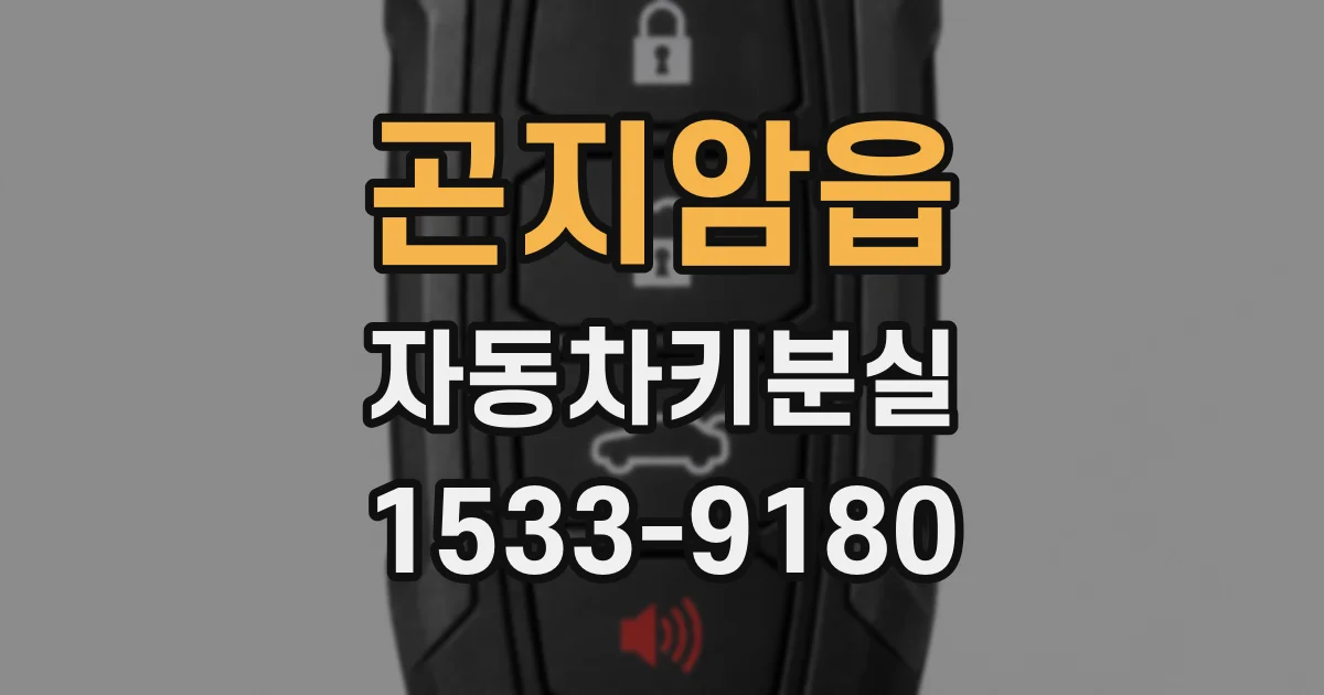 곤지암읍 자동차키분실
