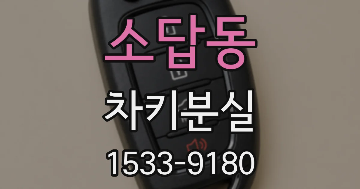 소답동 차키분실
