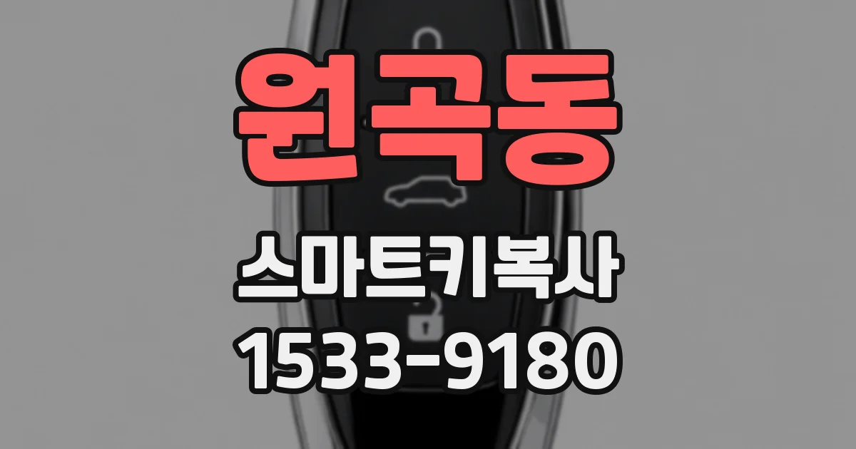 원곡동 스마트키복사