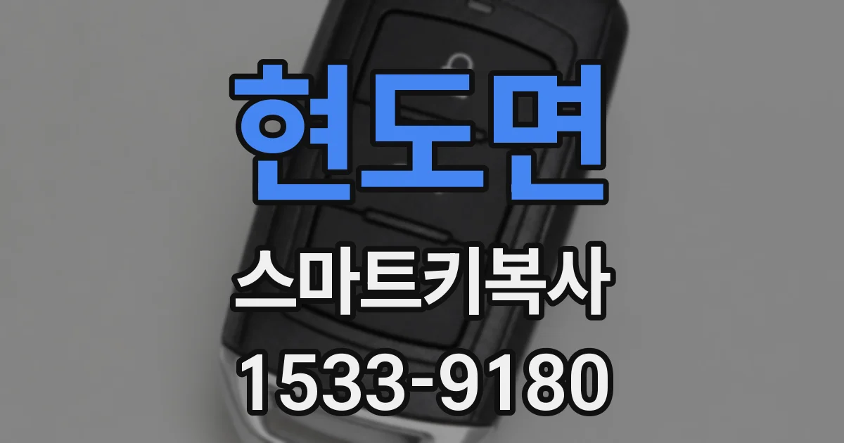 현도면 스마트키복사