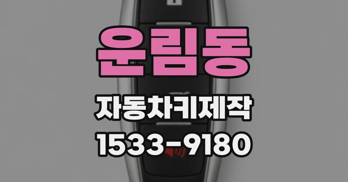 운림동 자동차키제작