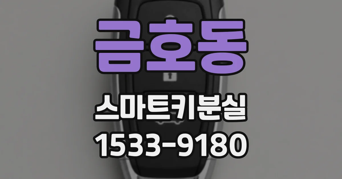 금호동 스마트키분실