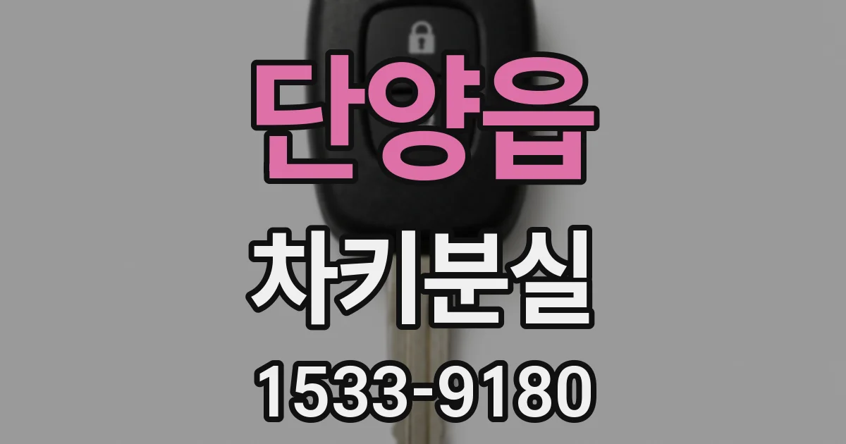 단양읍 차키분실