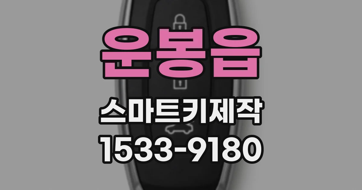 운봉읍 스마트키제작