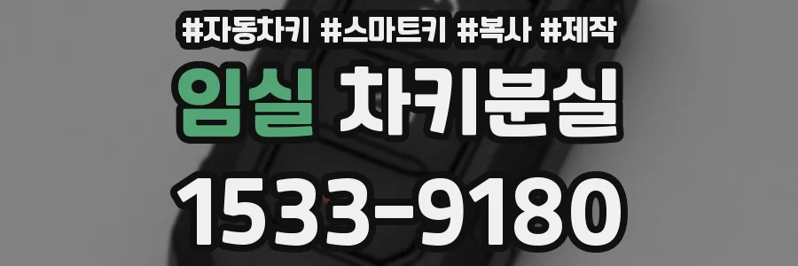 임실 차키분실