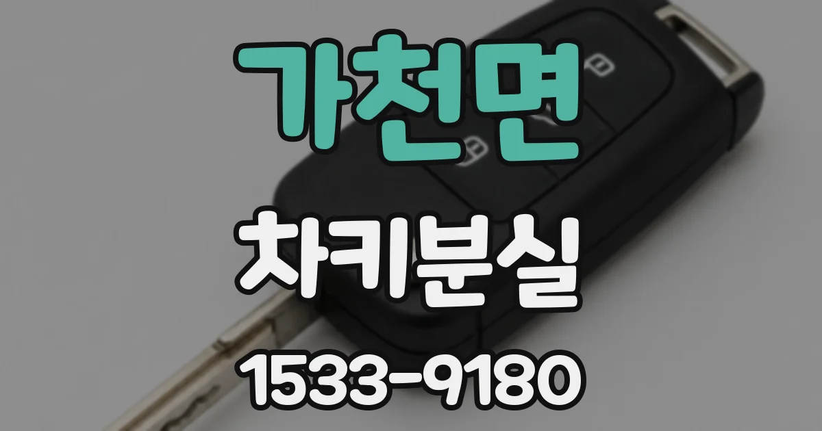 가천면 차키분실