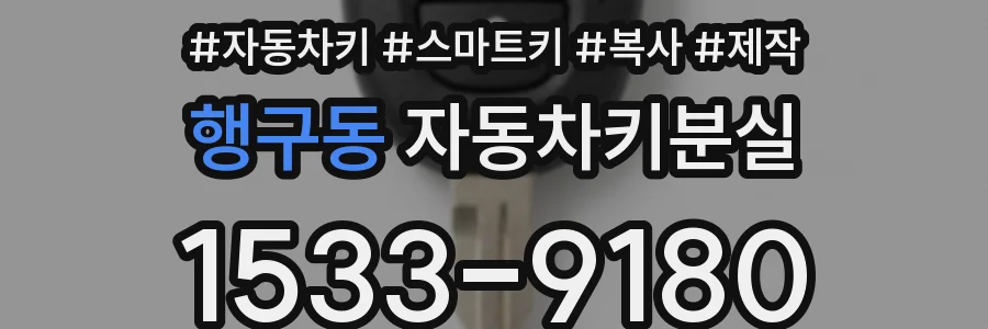 행구동 자동차키분실
