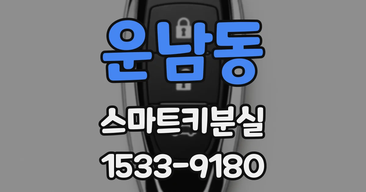 운남동 스마트키분실