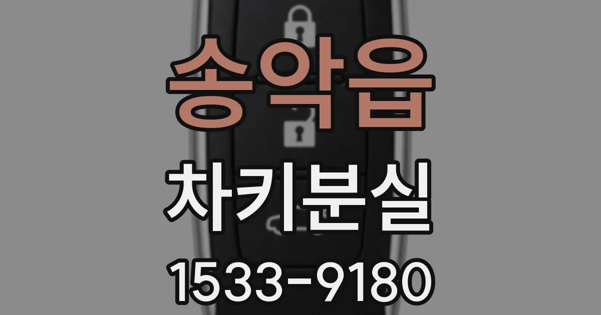 송악읍 차키분실