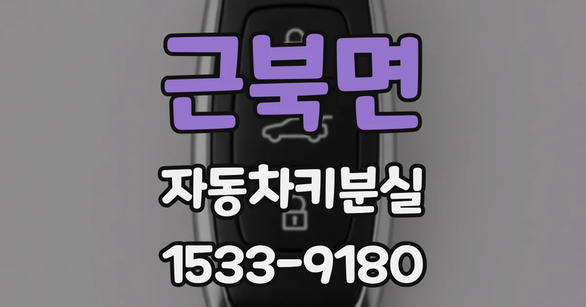 근북면 자동차키분실