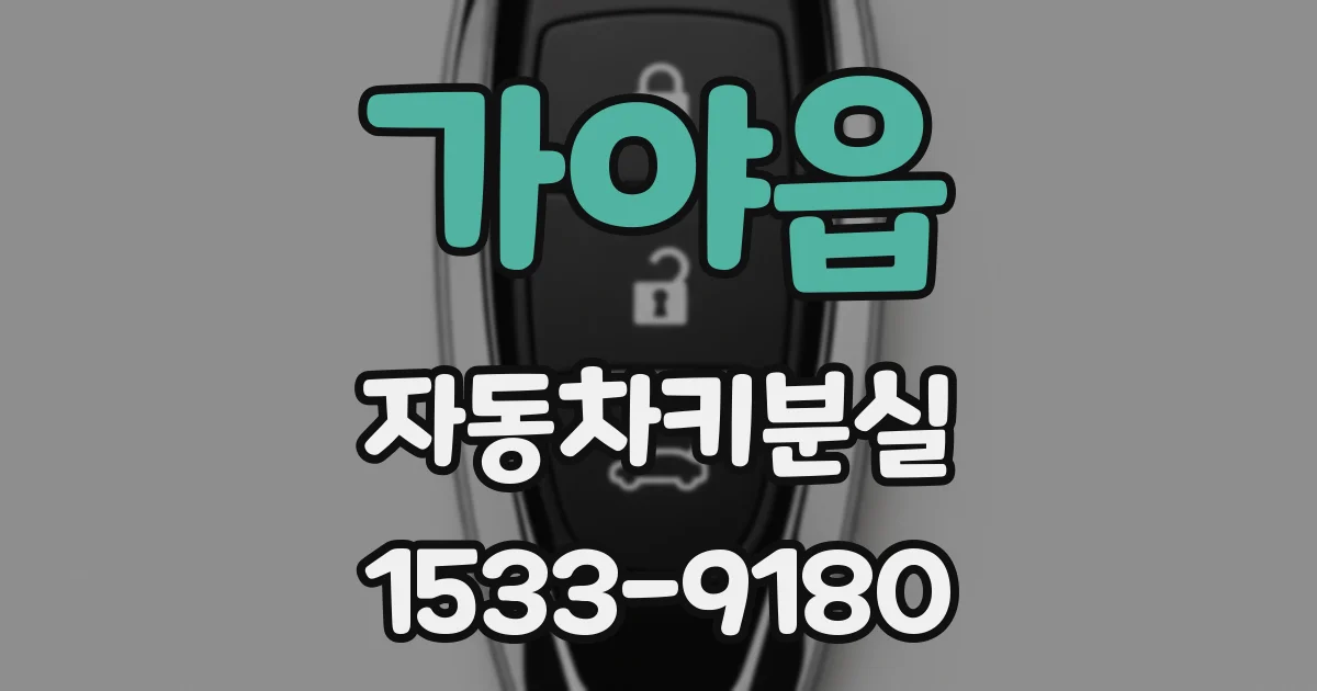 가야읍 자동차키분실