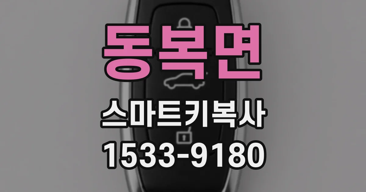 동복면 스마트키복사