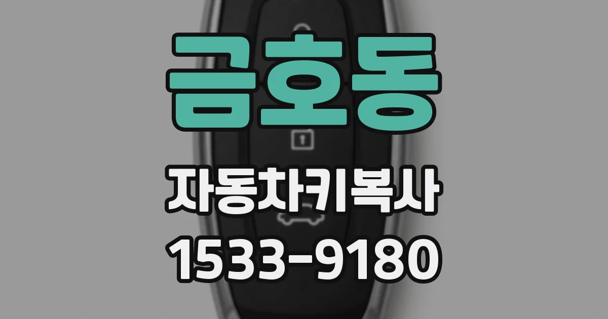 금호동 자동차키복사