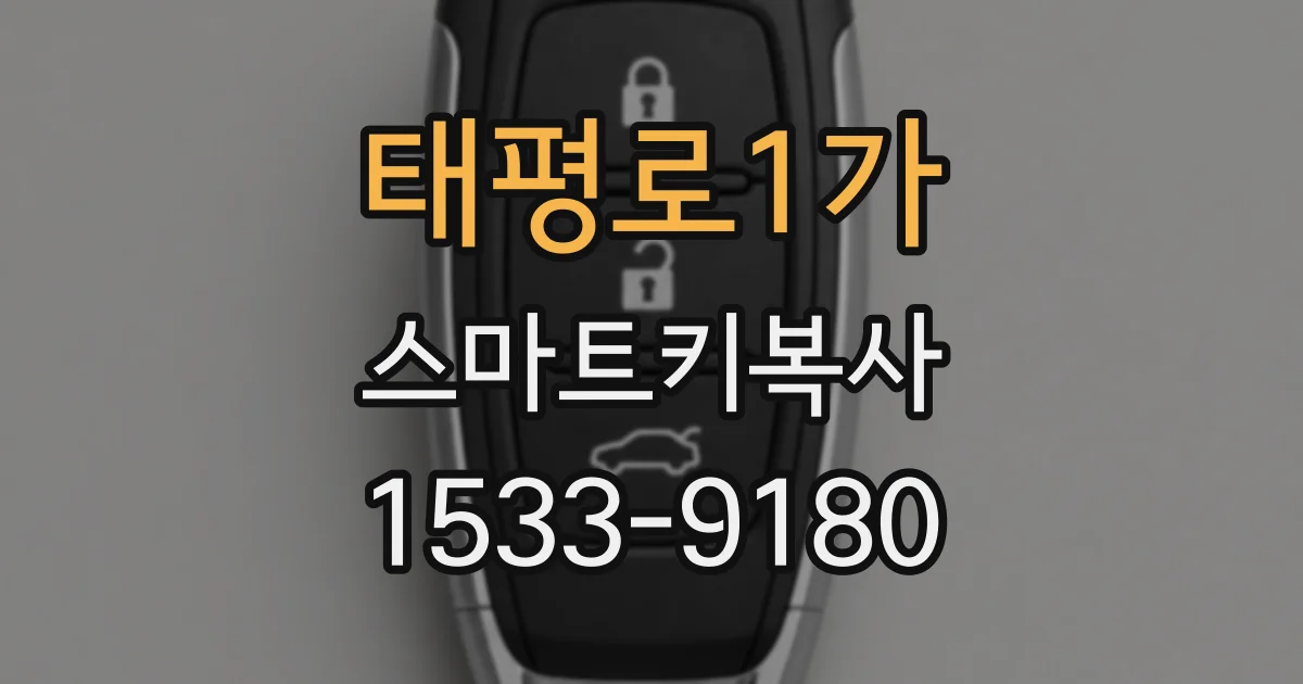 태평로1가 스마트키복사
