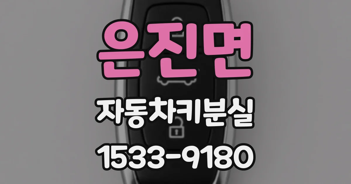 은진면 자동차키분실