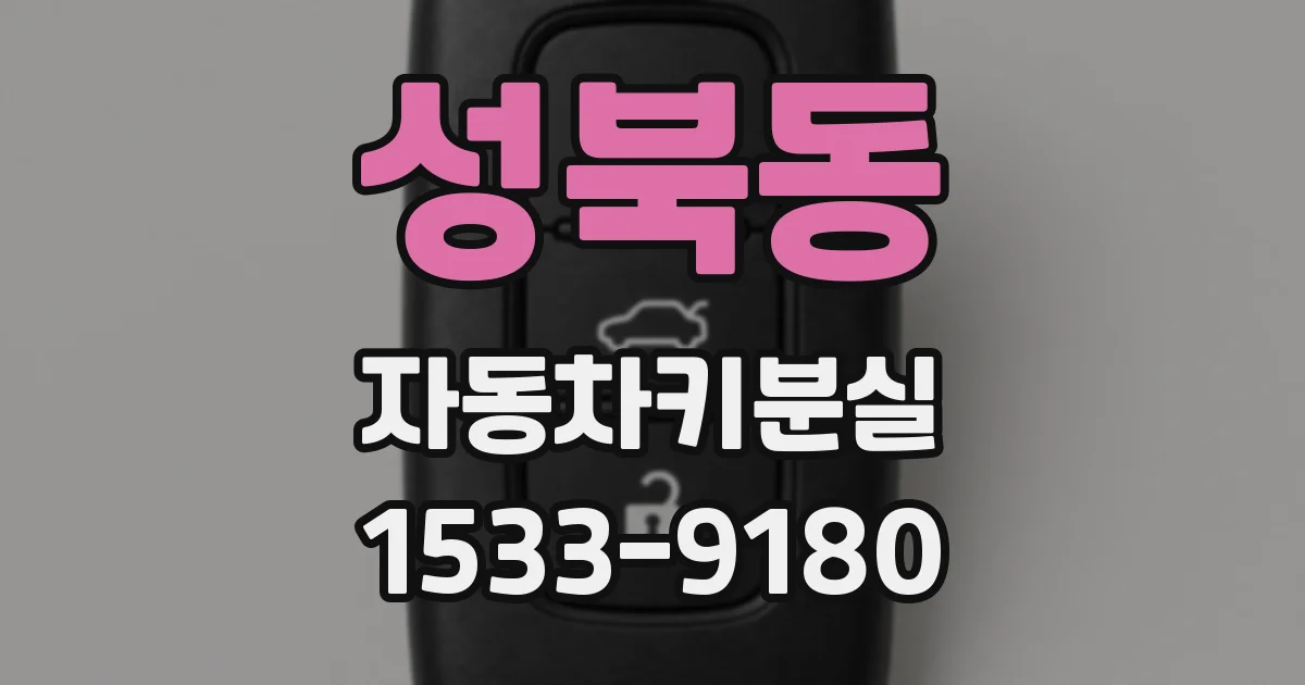 성북동 자동차키분실