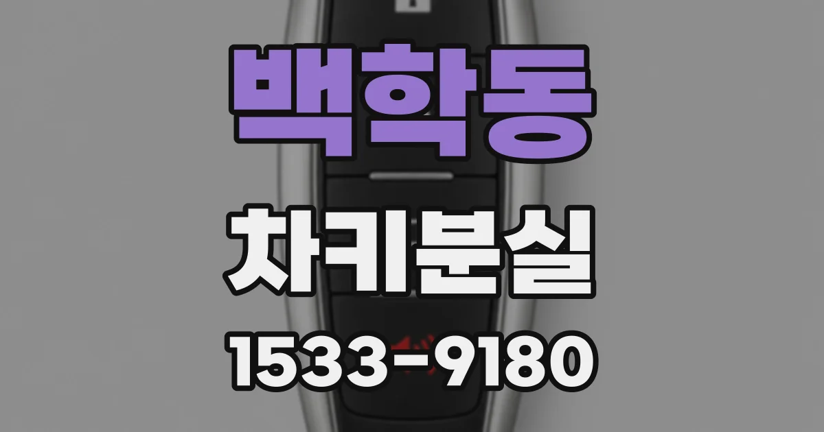 백학동 차키분실