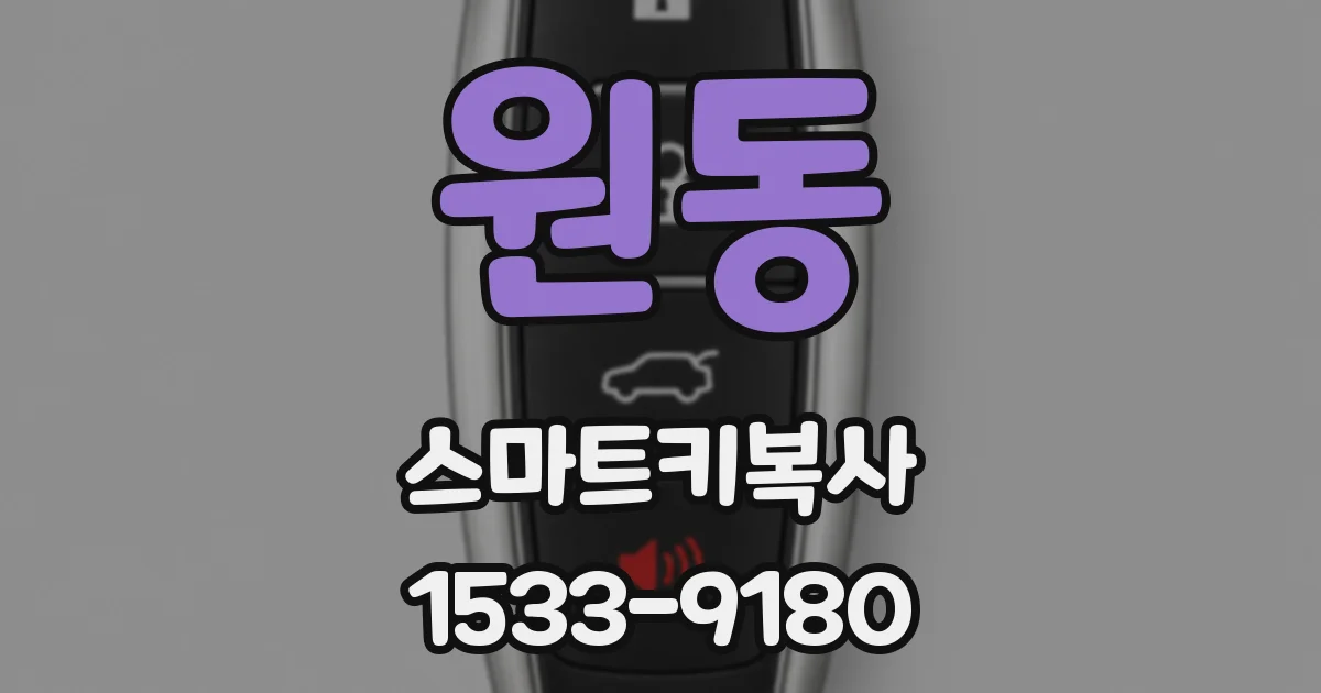 원동 스마트키복사