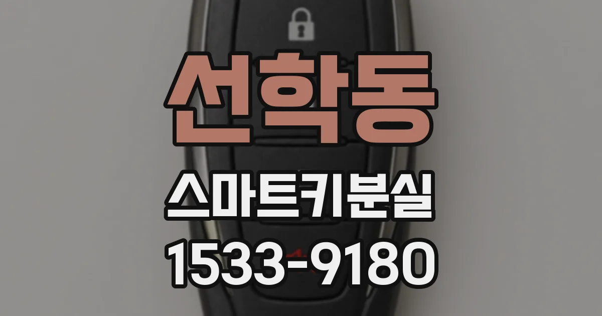 선학동 스마트키분실
