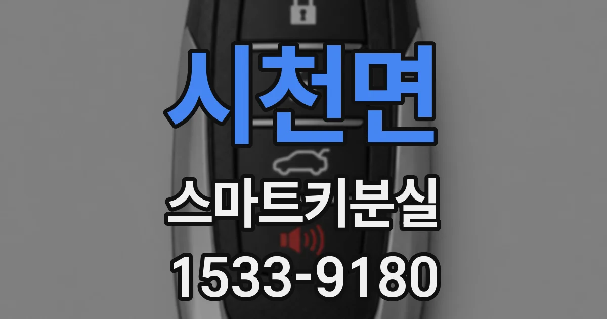 시천면 스마트키분실