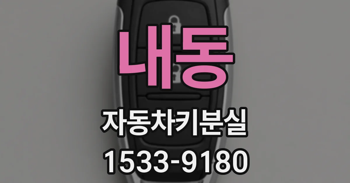 내동 자동차키분실