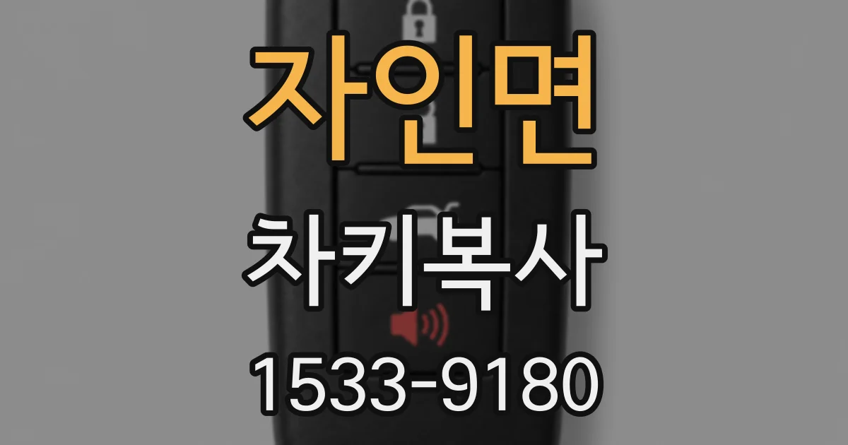 자인면 차키복사