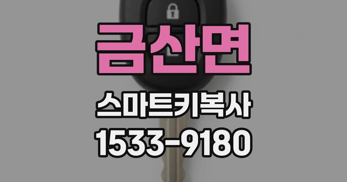 금산면 스마트키복사