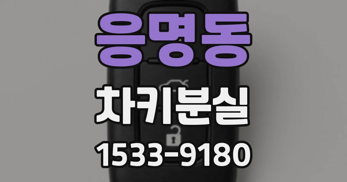 응명동 차키분실