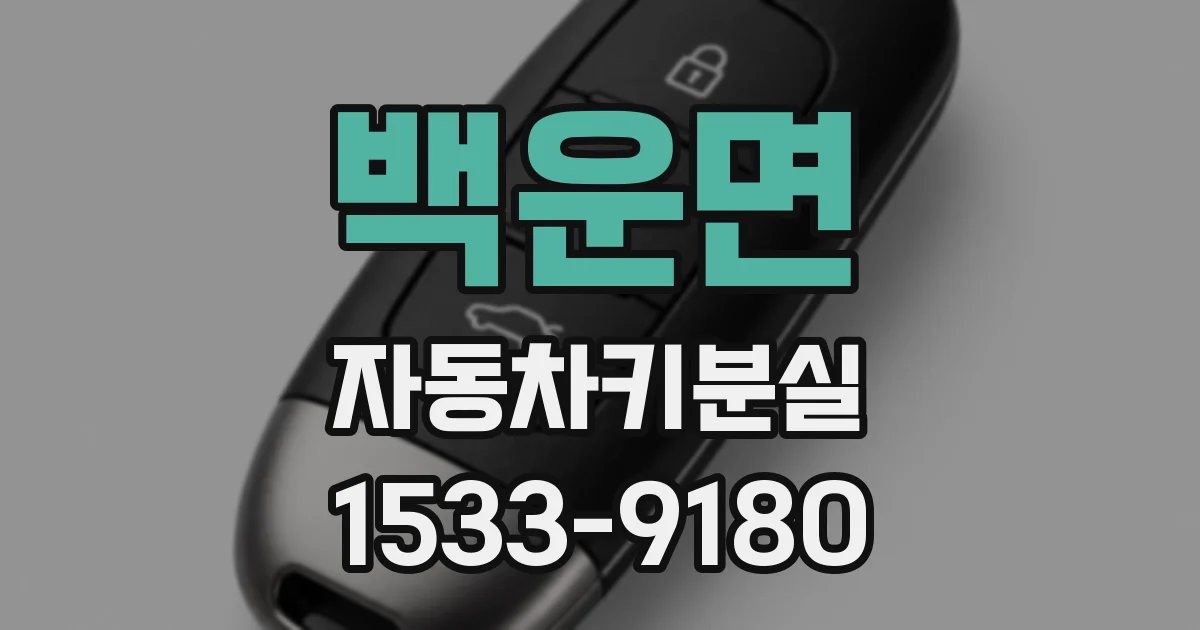 백운면 자동차키분실