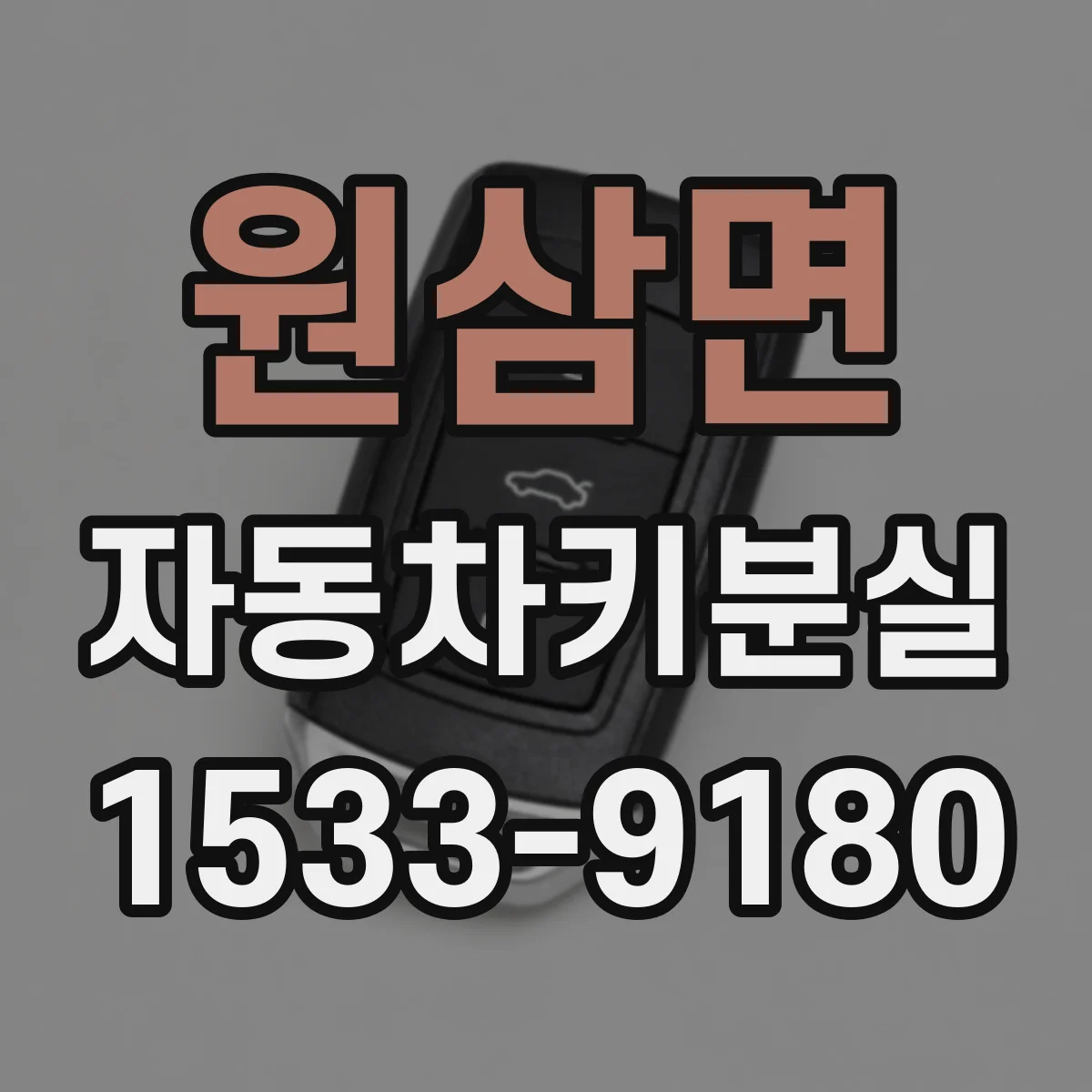 원삼면 자동차키분실