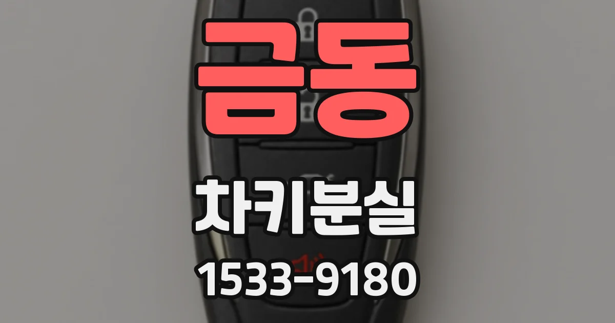 금동 차키분실
