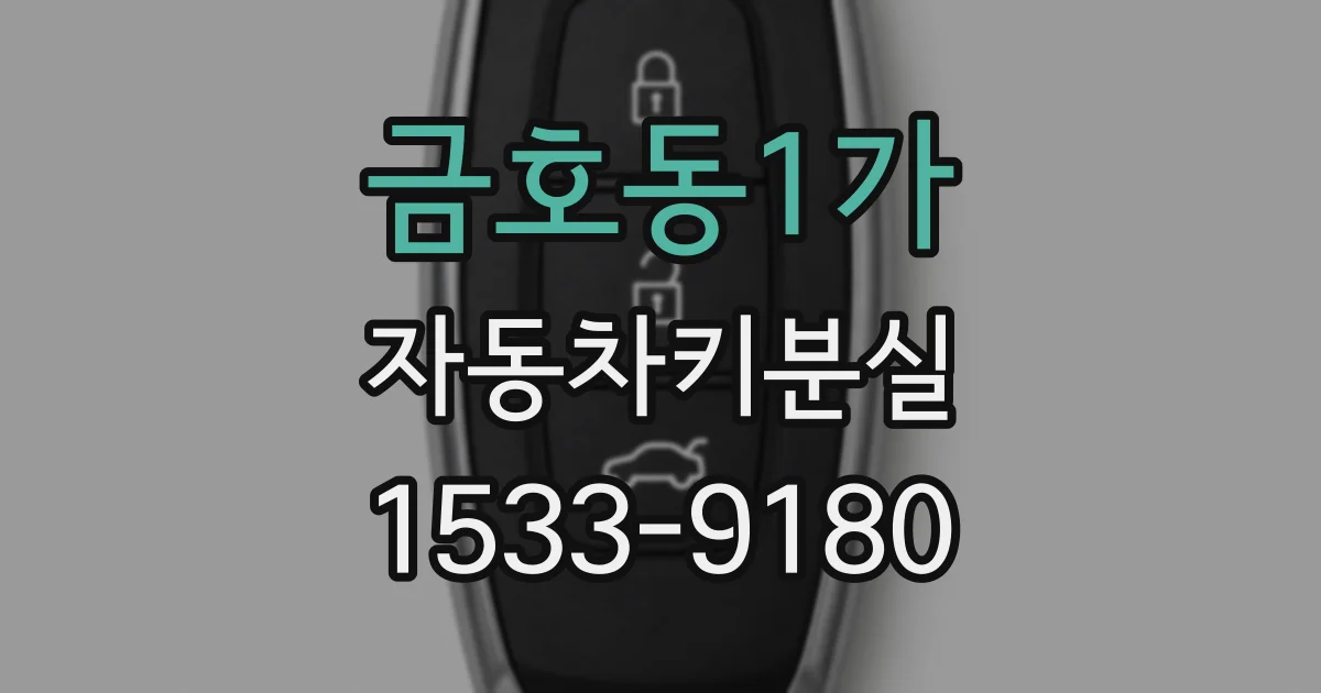 금호동1가 자동차키분실