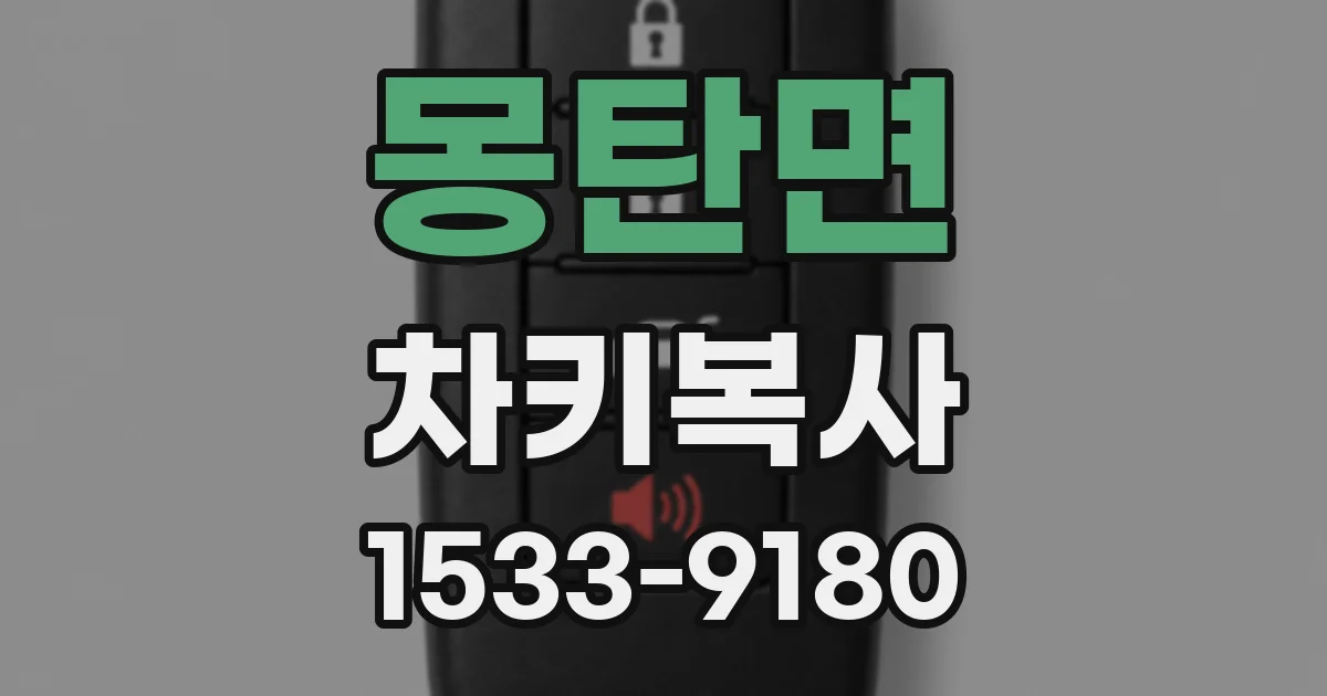 몽탄면 차키복사