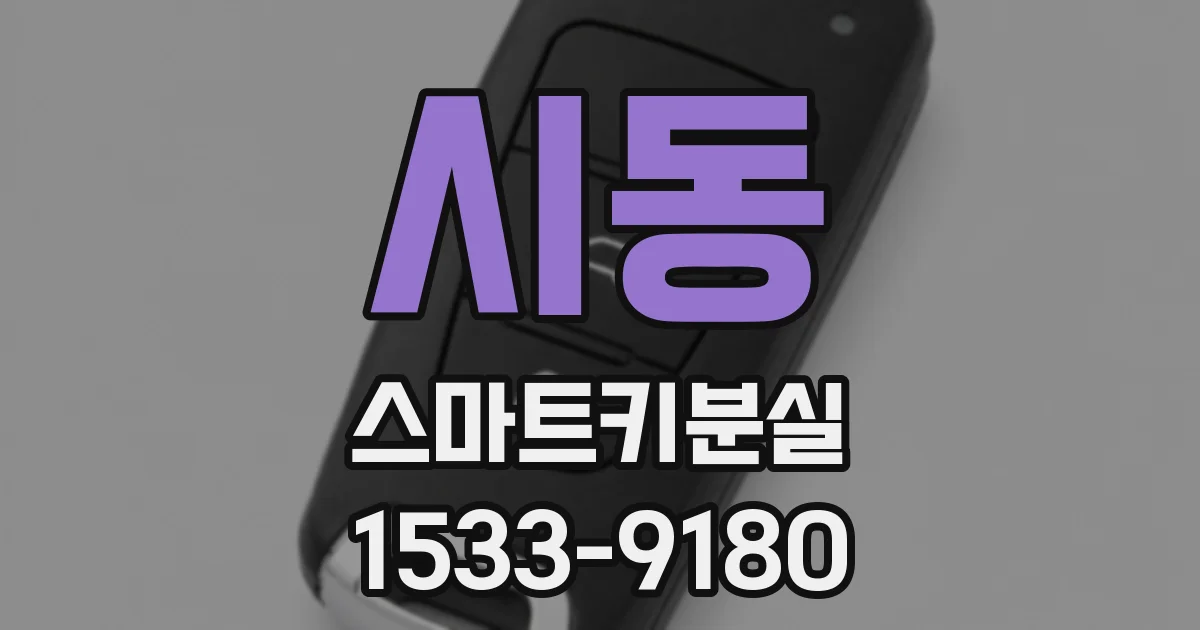시동 스마트키분실