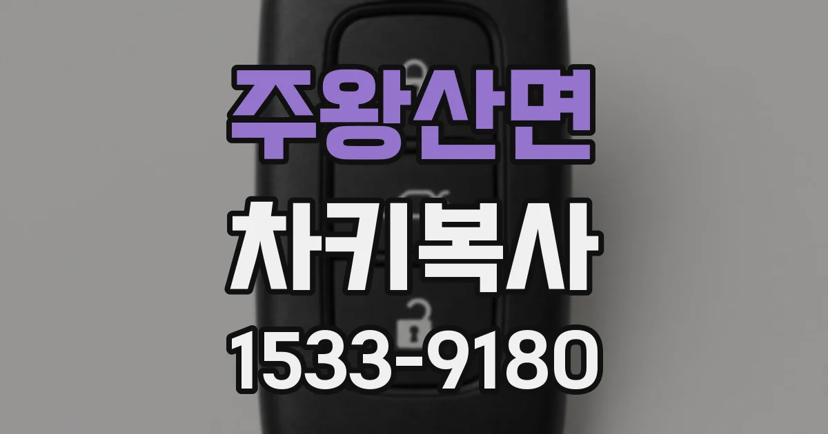 주왕산면 차키복사